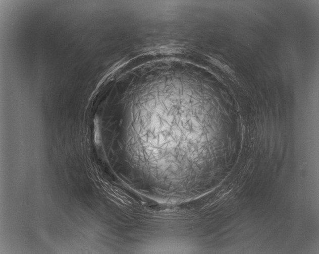 X0000056341160200509021648