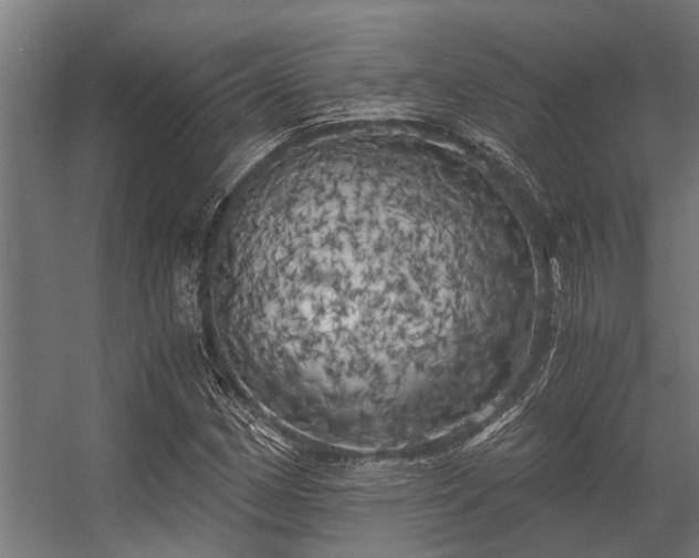 X0000056341162200509021648