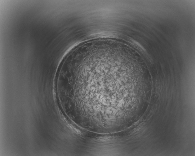 X0000056341182200509021648
