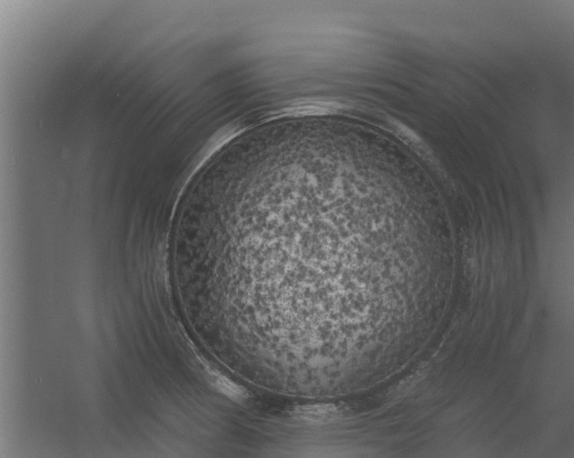 X0000056341186200509021647