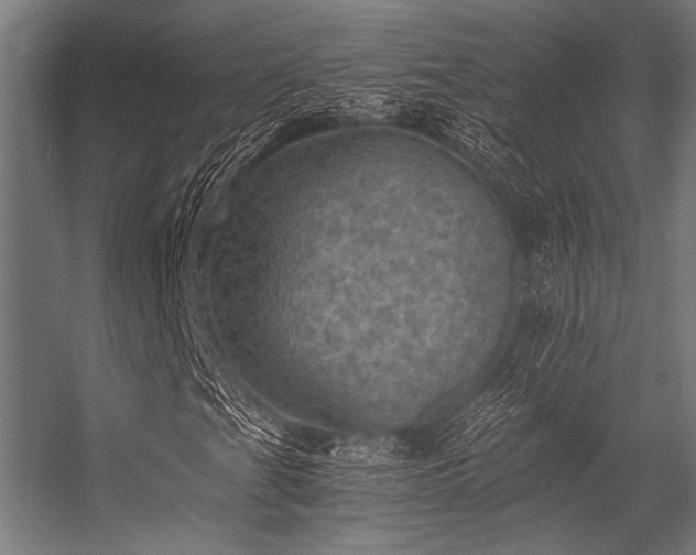 X0000056341201200509021646