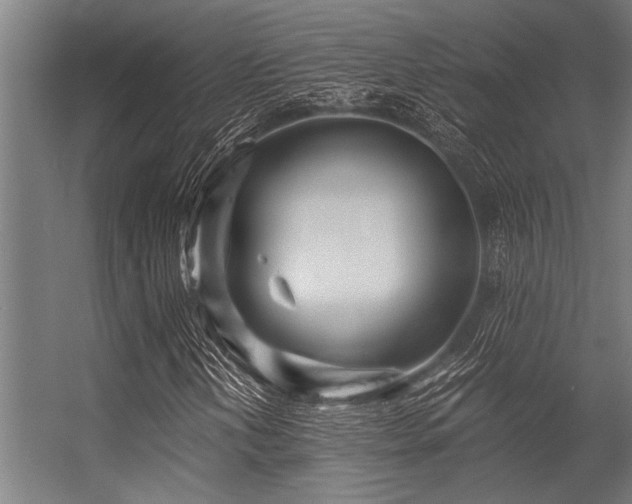 X0000056341202200509021646