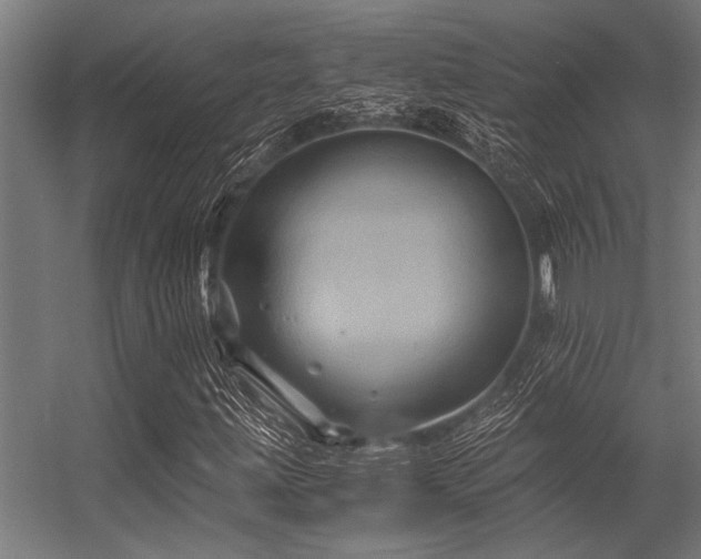 X0000056341203200509021646