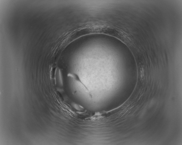 X0000056341204200509021646