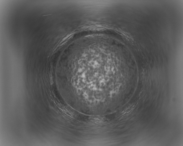 X0000056341205200509021646