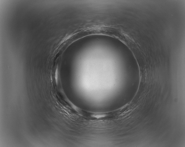 X0000056341206200509021646
