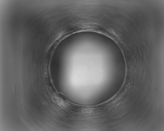 X0000056341211200509021647