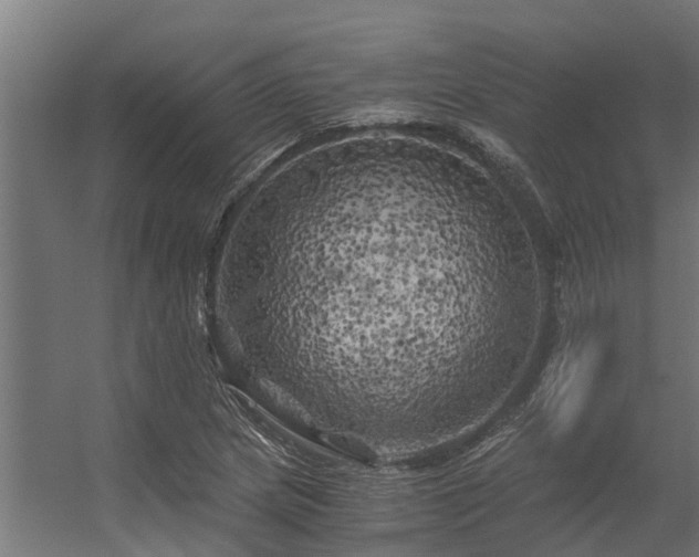 X0000056341217200509021647
