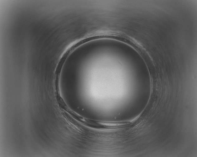 X0000056341222200509021647