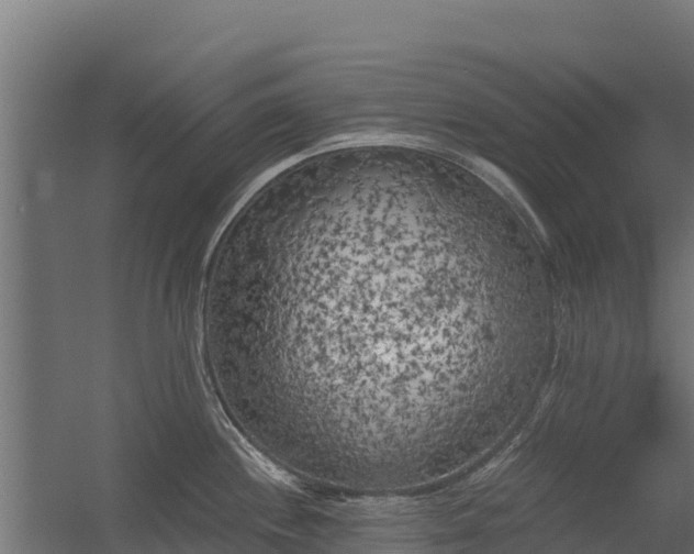 X0000056341244200509021647