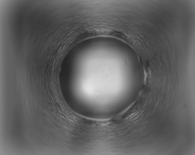 X0000056341249200509021646