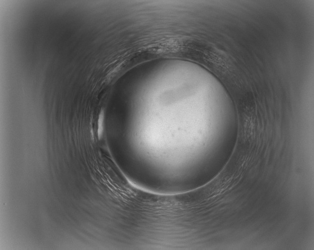 X0000056341250200509021646