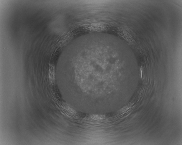 X0000056341251200509021646