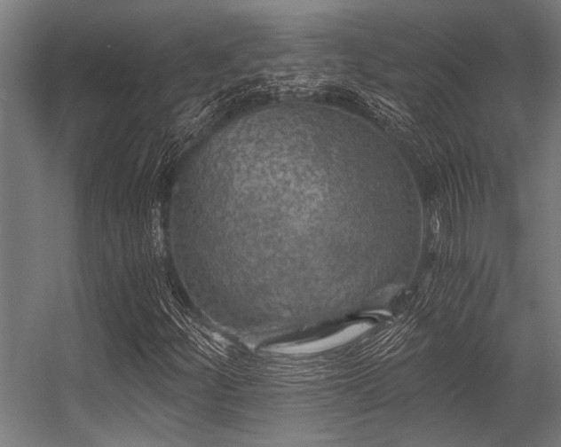 X0000056341252200509021646