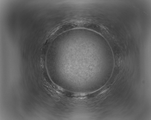 X0000056341253200509021646