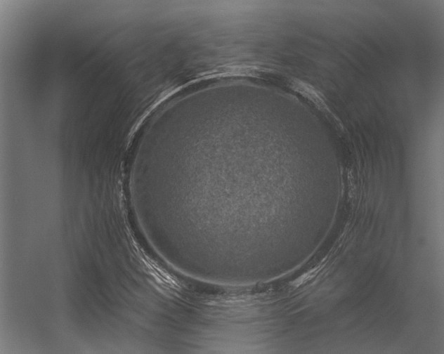 X0000056341260200509021646