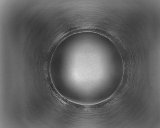 X0000056341265200509021646