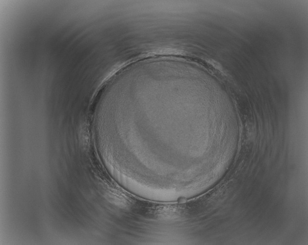 X0000056341266200509021646