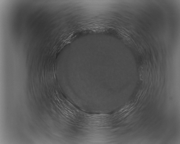 X0000056341298200509021645