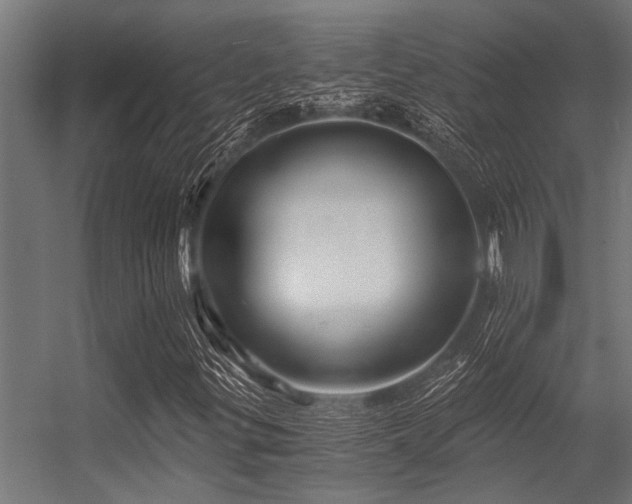 X0000056341299200509021645