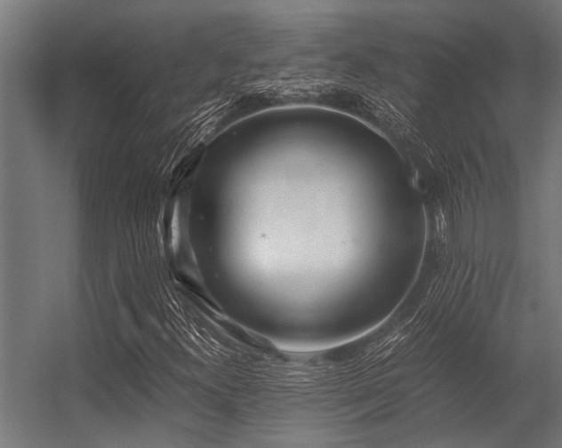 X0000056341300200509021645