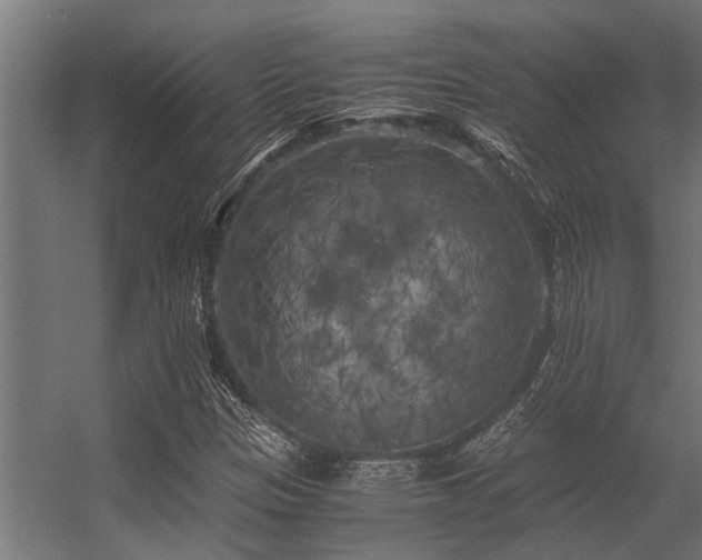 X0000056341305200509021645