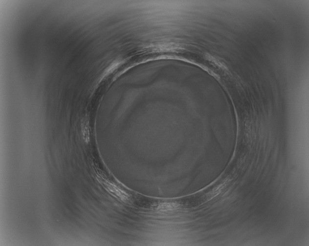 X0000056341306200509021645