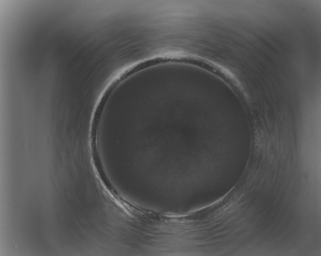 X0000056341327200509021645