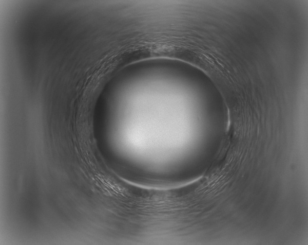 X0000056341345200509021645