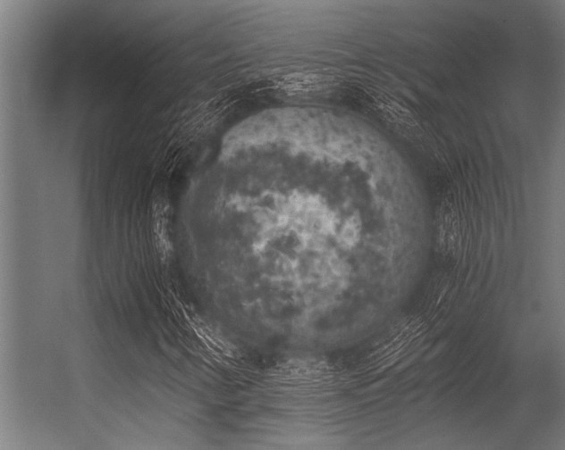 X0000056341346200509021645