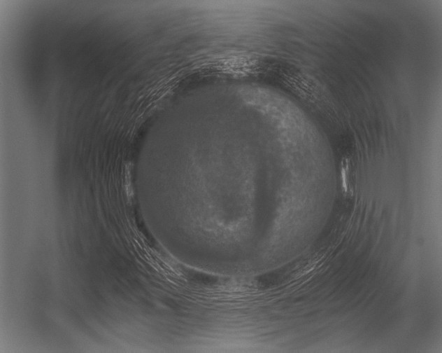 X0000056341347200509021645