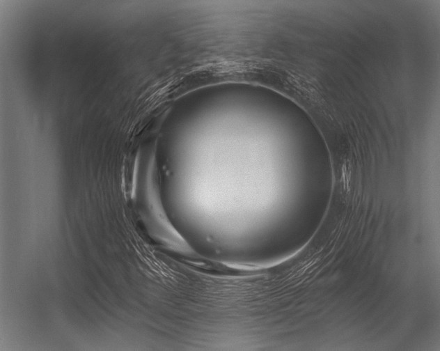 X0000056341348200509021645