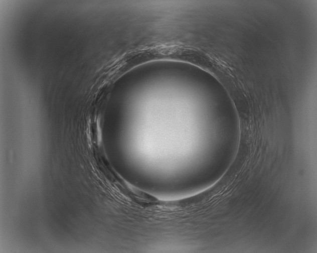 X0000056341349200509021645