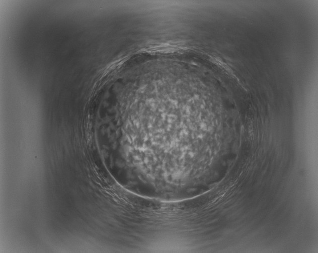 X0000056341350200509021645
