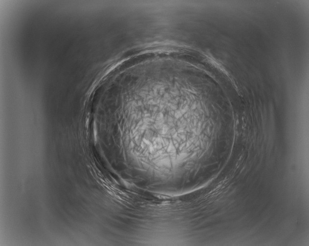 X0000056341352200509021645