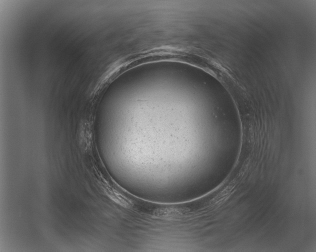 X0000056341355200509021645