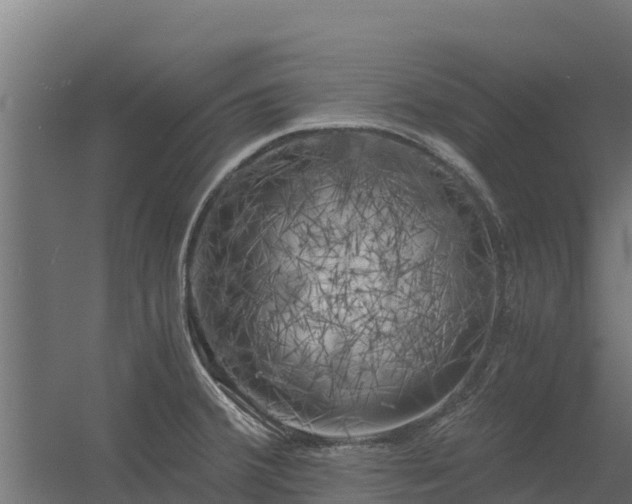 X0000056341380200509021644