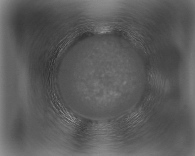 X0000056341393200509021643