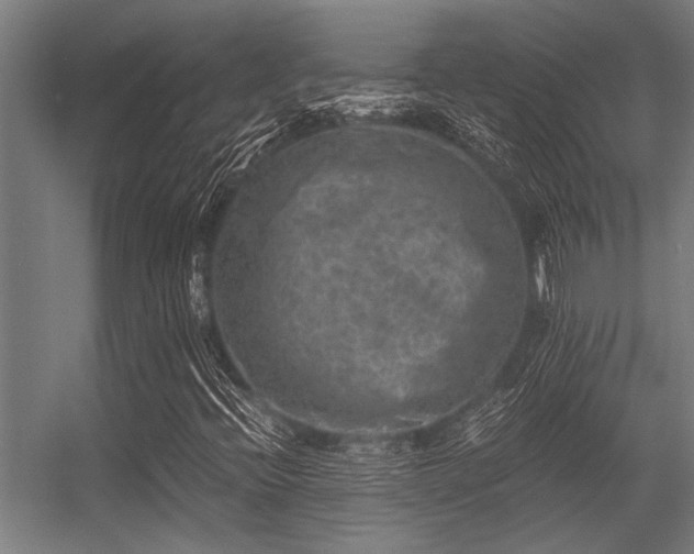 X0000056341396200509021643