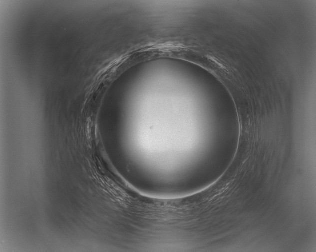 X0000056341398200509021643