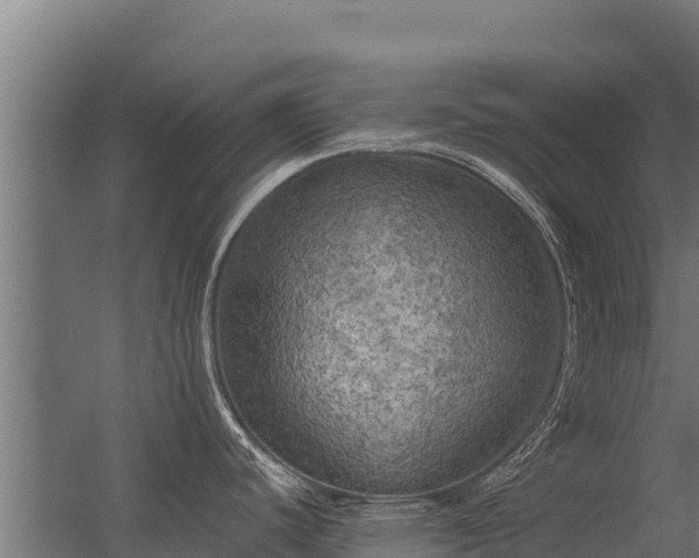X0000056341440200509021644