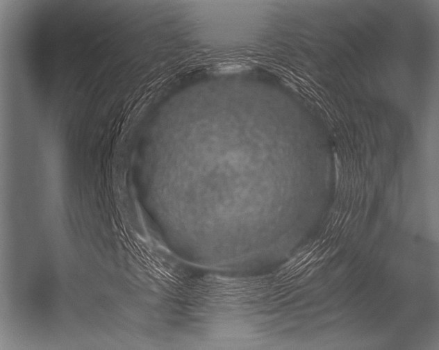 X0000056341441200509021643