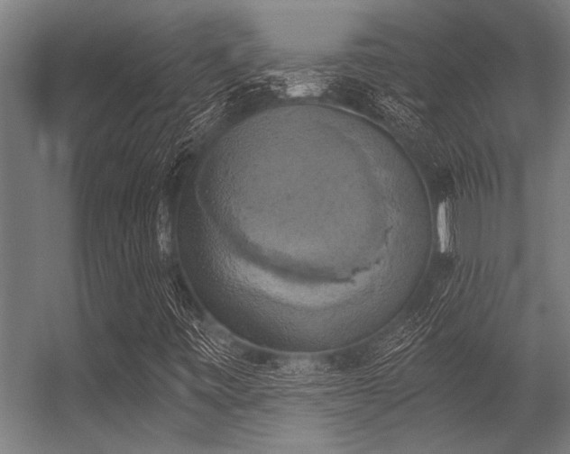 X0000056341443200509021643