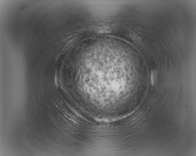 X0000056341444200509021643