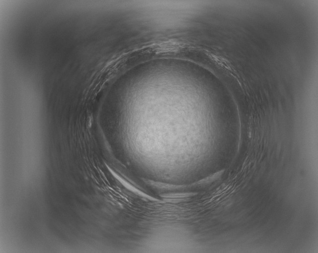 X0000056341445200509021643