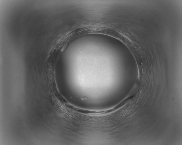 X0000056341447200509021643