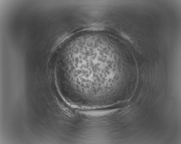 X0000056341448200509021643