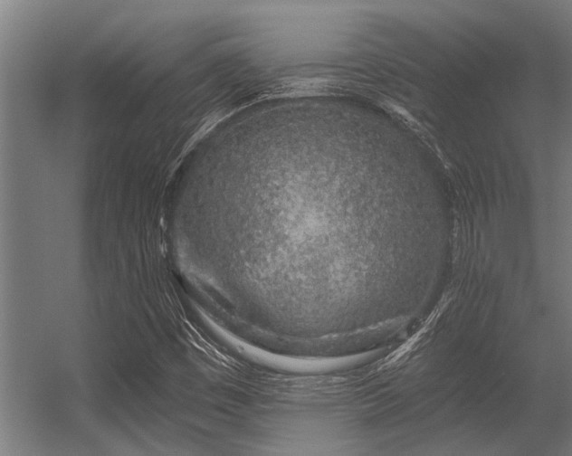 X0000056341449200509021643