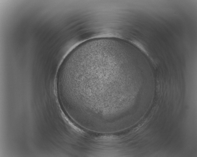 X0000056341468200509021643