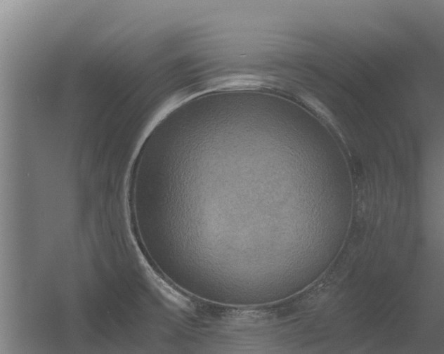X0000056341475200509021643